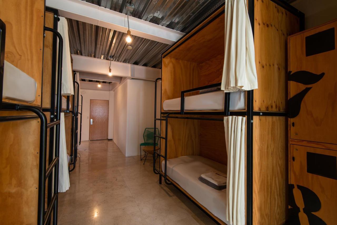 Mayan Monkey Los Cabos - Social Hotel (Adults Only) Cabo San Lucas Exterior photo